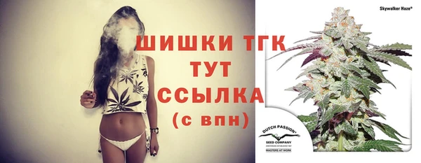 шишки Белоозёрский