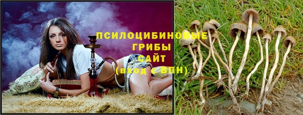 тгк Баксан