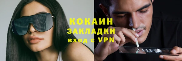 дживик Белокуриха