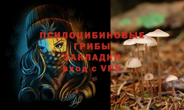 тгк Баксан