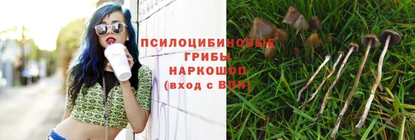 каннабис Балахна
