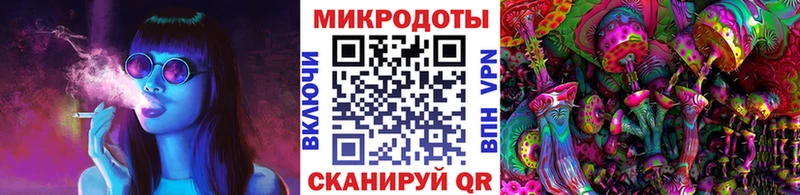 Купить закладки  Можга  Псилоцибиновые грибы Magic Shrooms 